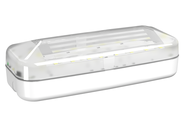 Купить Белый свет Аварийный светильник BS-JUNIOR-10-L1-24 a15714