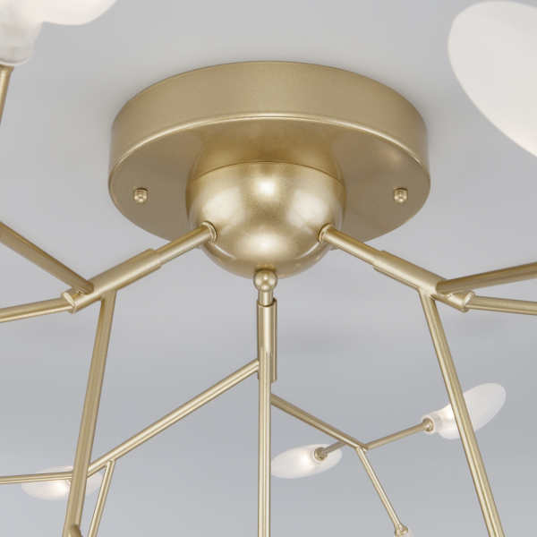 Купить Eurosvet 343 Светильник потолочный a053996