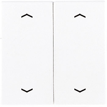 JUNG Клавиши для сдвоенной кнопки BCU белые LS995MPWW