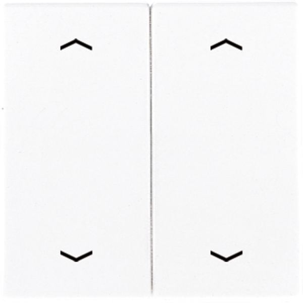 JUNG Клавиши для сдвоенной кнопки BCU белые LS995MPWW