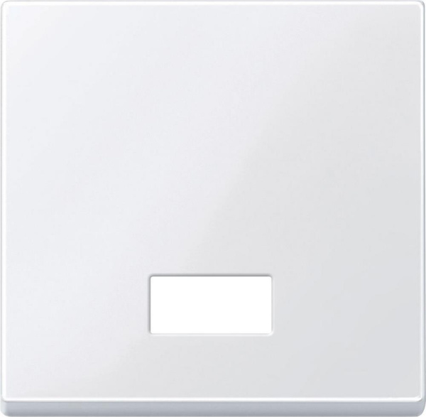 SE Merten SM Бел Актив Клавиша с прямоугольным окошком для символов MTN432825