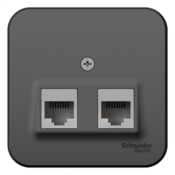 Systeme Electric Blanca наруж Антрацит Розетка 2-ая компьютерная RJ45, кат.5E, изол. пластина
