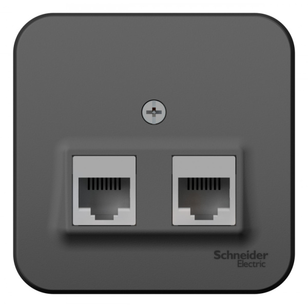 Systeme Electric Blanca наруж Антрацит Розетка 2-ая компьютерная RJ45, кат.5E, изол. пластина