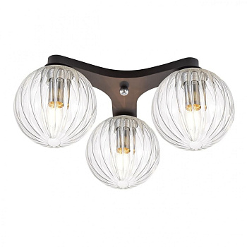 Citilux CL116131 Коптер Черный Светильник Люстра