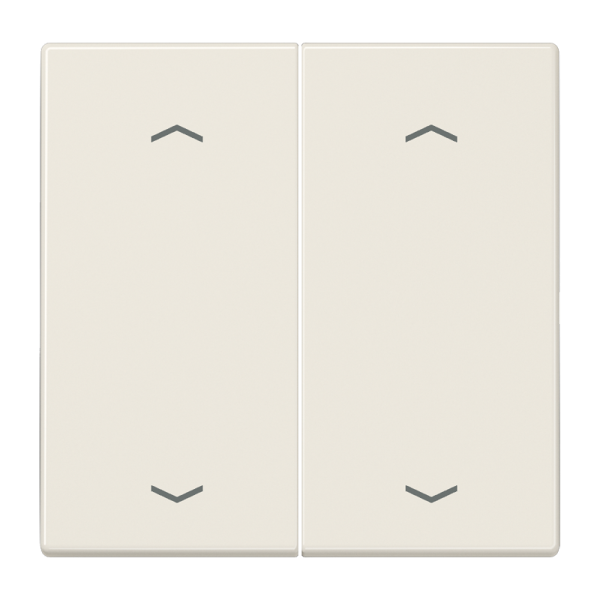 JUNG Клавиши для сдвоенной кнопки BCU белые LS995MP