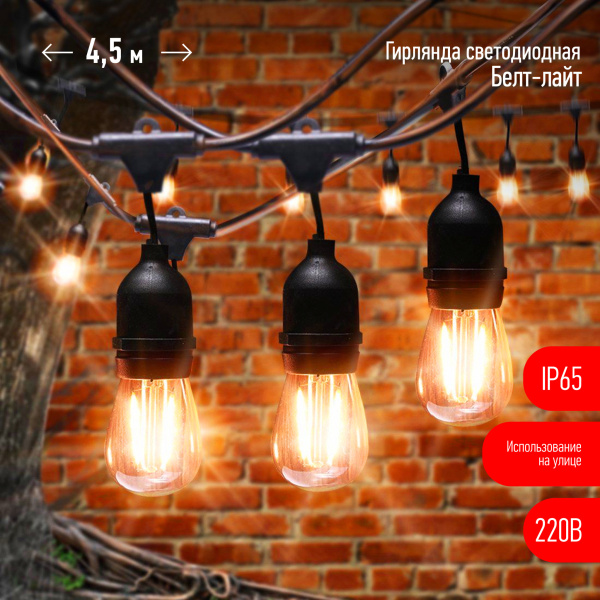 ЭРА ERABL-FIL1 Гирлянда нить Филамент, 4,5 м, длина провода 60 см, 10 LED, теплый белый, E27, каучук, 220В, IP44