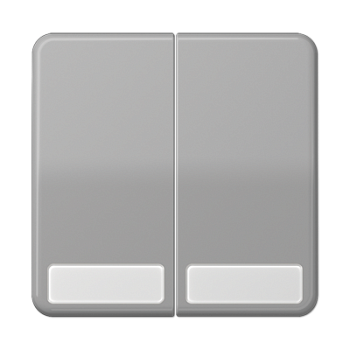 JUNG CD 500/CD plus Серая Клавиша 2-ая с полем для надписи CD595NAGR