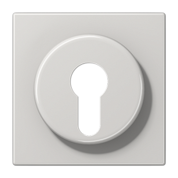 JUNG Крышка к выключателю для замочного механизма светло-серая LS928LG