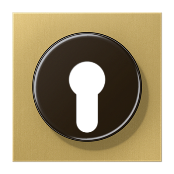 JUNG  центральная плата для замка ME2928C