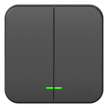 Systeme Electric Blanca наруж Антрацит Выключатель 2-клавишный с подсветкой, 10А, 250B