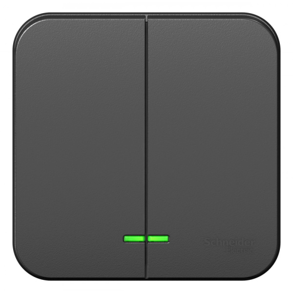 Systeme Electric Blanca наруж Антрацит Выключатель 2-клавишный с подсветкой, 10А, 250B