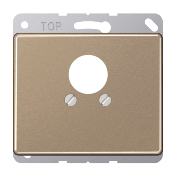 JUNG Крышка для 2-х гнезд золотая бронза SL562GB