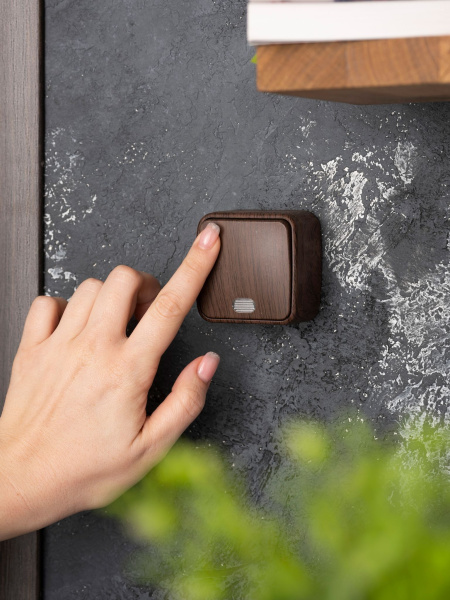 Купить EKF Basic Минск Темное дерево Выключатель 1-кл с индикатором, 10А, ОП