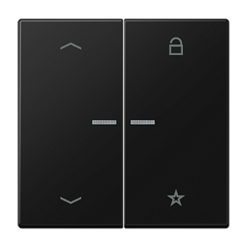 JUNG LS 990 Черный матовый Центральная плата универсальная с символами «стрелки» LS1701PSWM