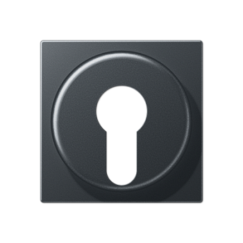 JUNG Накладка для выключателя с замком, матовый антрацит A528PLANM
