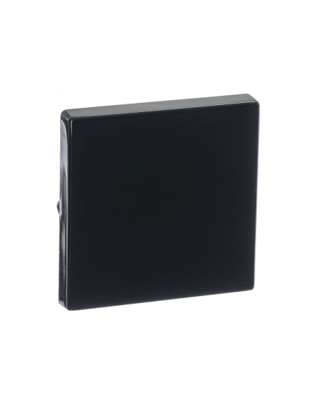 Купить ABB BJE Solo/Future Черный Антрацит Клавиша 1-ая 2CKA001751A3079