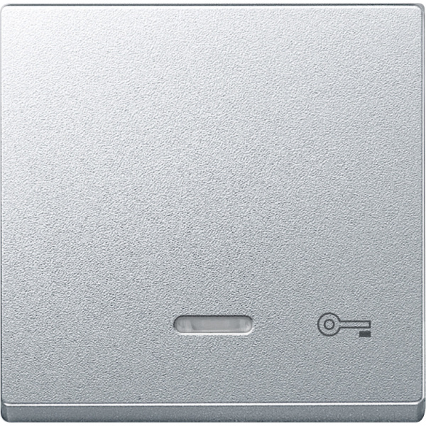 SE Merten SM Клавиша со световой индикацией, «дверь» (MTN430760)