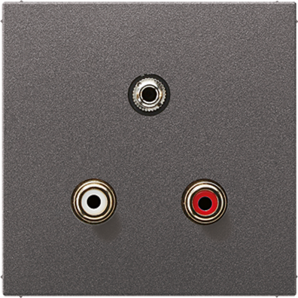 JUNG 2x Cinch Audio (RCA) / Stereo разъем (TRS 3.5 mm), антрацит MAAL1011AN