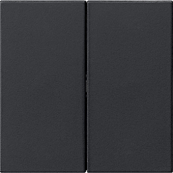 Gira Накладка управления 2-местн. System 3000 5362005