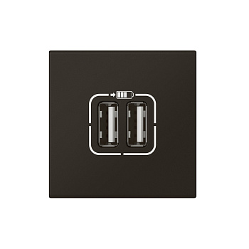 Legrand Mosaiс Розетка USB А+А для зарядки двойная - Программа Mosaic - 2 модуля - матовая черная 079194L