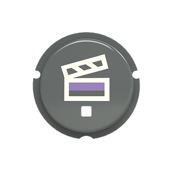 ABB Zenit SBS-N2GR Кнопка сцена free@home, серый 2CLA202630N1402