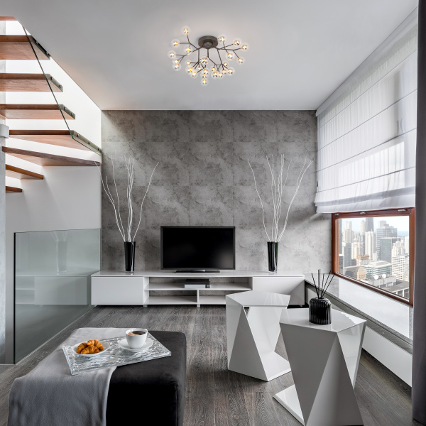 Купить Eurosvet 544 Светильник потолочный 00000086052