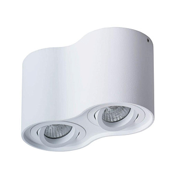 Arte Lamp FALCON Потолочные светильники A5645PL-2WH