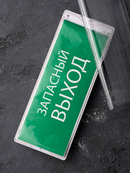 Купить EKF PROxima Пиктограмма "Запасный выход" 240х95мм (для SAFEWAY-10)