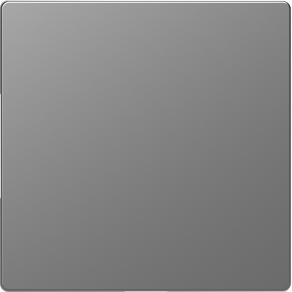 SE Merten D-Life Нержавеющая Сталь Заглушка MTN4075-6036