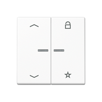 JUNG Центральная плата для вставок управления двигателями, белый A1701BFPWW