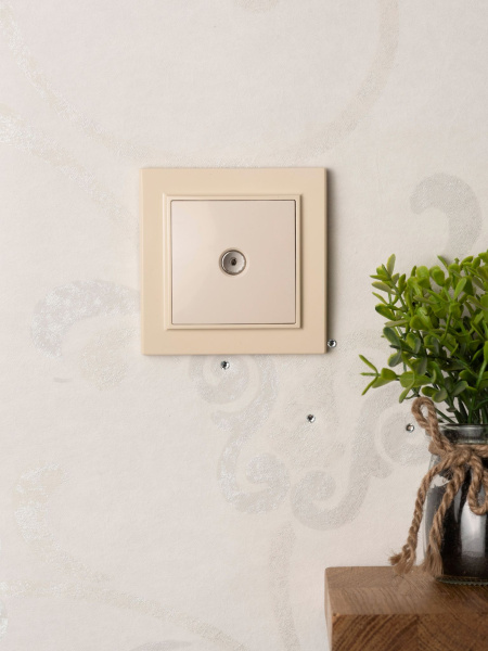 Купить EKF Basic Минск Бежевый Розетка TV, 75Ом, 5-862МГц, СП