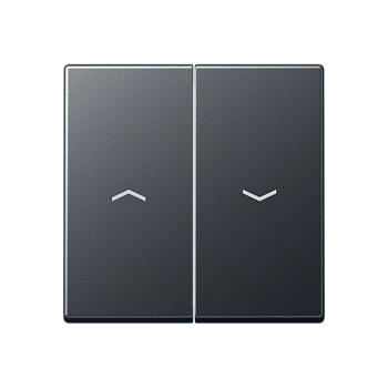 JUNG A 500 Антрацит Клавиши для сдвоенных выключателей A595BFPANM