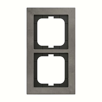 ABB Axcent Арт-бетон Рамка 2-постовая 2CKA001754A4796