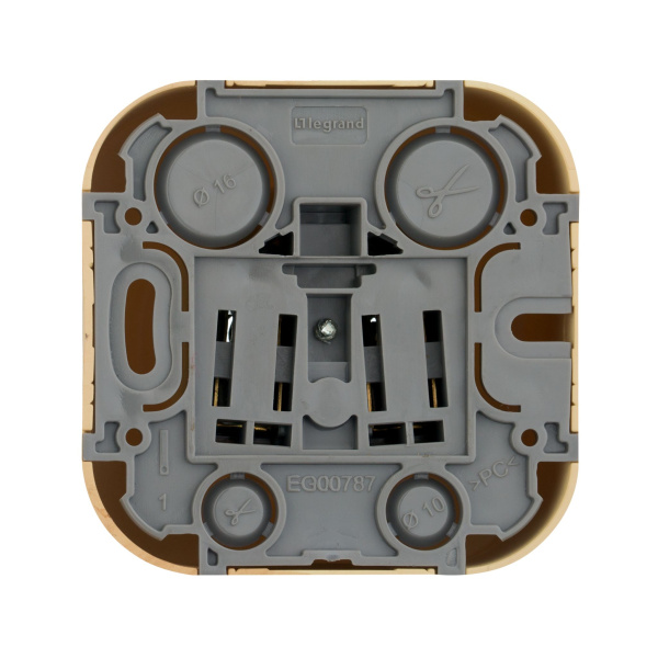 Купить Legrand Quteo Сосна Розетка б/з 782270