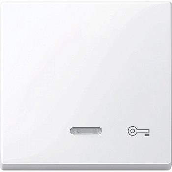 SE Merten SM Клавиша со световой индикацией, «дверь» (MTN435325)