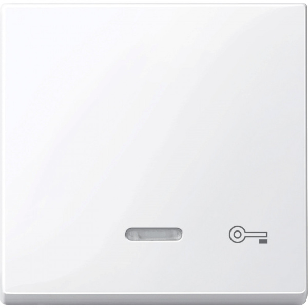 SE Merten SM Клавиша со световой индикацией, «дверь» (MTN435325)