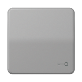 JUNG CD 500/CD plus Серая Клавиша 1-ая с символом КЛЮЧ CD590TGR