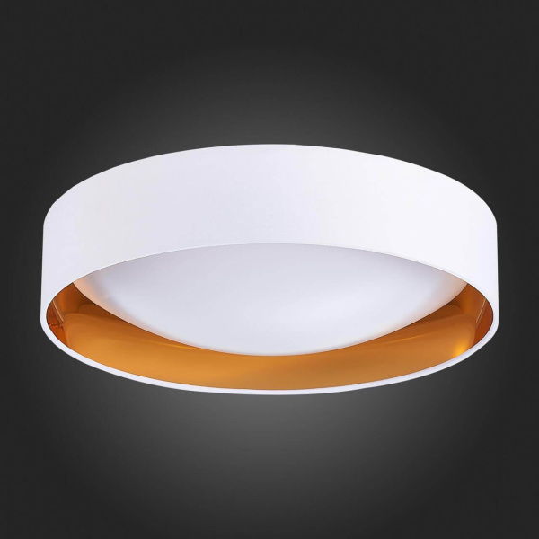 Купить Evoluce SLE201122-01 Светильник потолочный Белый, Золото/Белый LED 1*24W