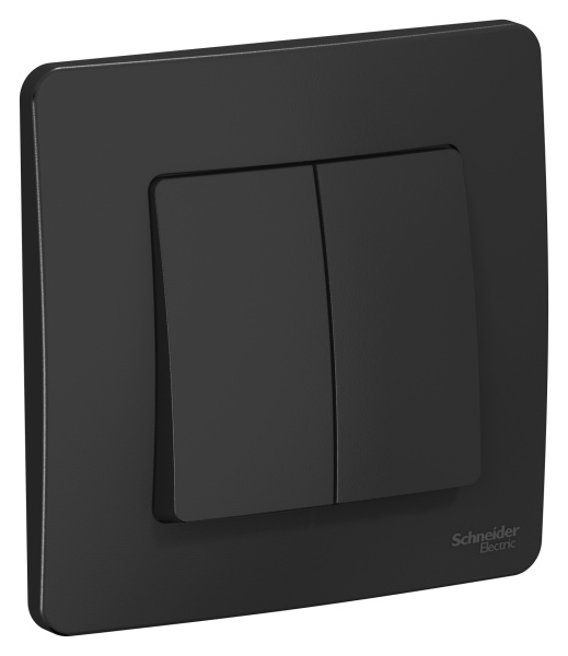 Купить Systeme Electric Blanca внутр Антрацит Выключатель 2-клавишный, 10А, 250B