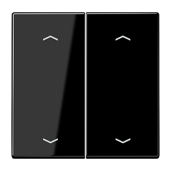 JUNG Клавиши для сдвоенной кнопки BCUчёрные LS995MPSW