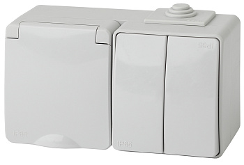 ЭРА 11-7602-03 Эксперт Серый Блок: Розетка с/з+выкл 2-кл ОУ IP65 гориз.