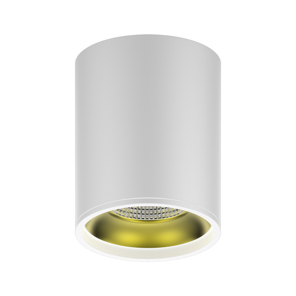Купить Gauss Светильник Overhead накл цил 12W 900lm 3000K 170-240V IP20 79*100мм белый золото LED HD010