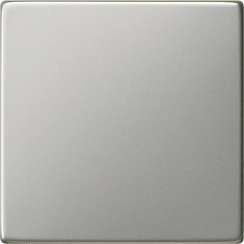 Gira S-55, Сталь, Клавиша одинарная 0296600