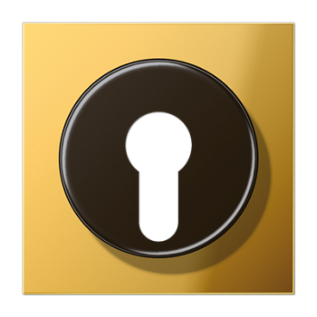 JUNG Крышка к выключателю для замочного механизма металл цвета золота GO2928