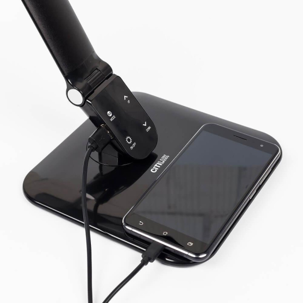 Купить Citilux Лампа настольная Ньютон CL803022