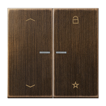 JUNG Центральная плата для вставок управления двигателями, латунь Antik ME1701PAT