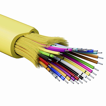 DKC Кабель волоконно-оптический, распределительный, арамидные упрочняющие нити, для внутренней прокладки, нг(А)-HF, 24 ОВ, категорияOS2(G.652.D) плотн