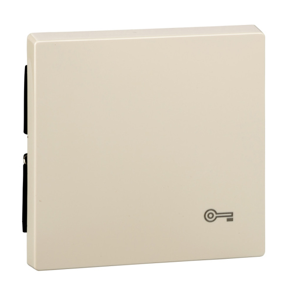 Купить SE Merten SM Алюминий Клавиша с пиктограммой «ключ» (MTN3303-0344)