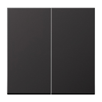 JUNG EcoProfi Черный матовый Клавиша 2-ая EP495SWM