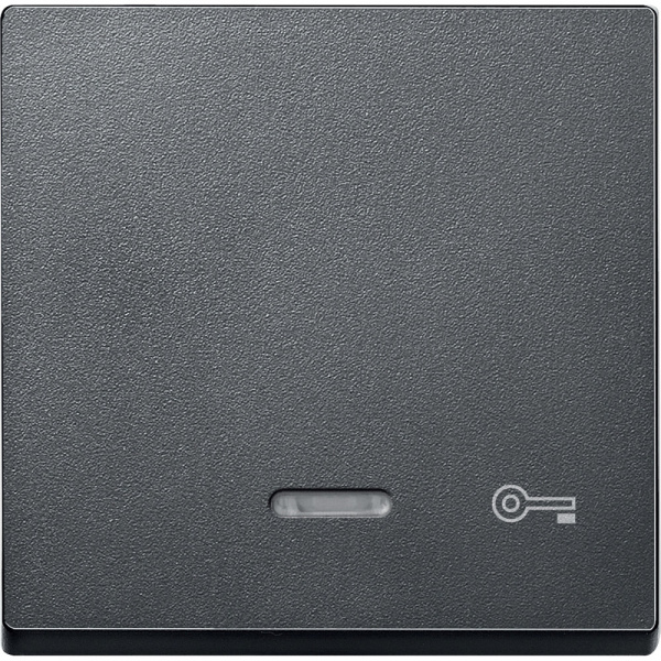 SE Merten SM Клавиша со световой индикацией, «дверь» (MTN430714)